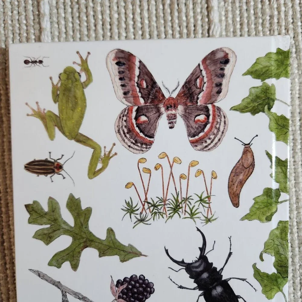 NEW Nature Journal for Kids Activity Book Notebook Hardcover Book Birdwatching B